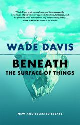 Beneath the Surface of Things : New and Selected Essays