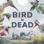 Bird Is Dead