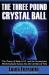 The Three Pound Crystal Ball : The Theory of Sleep A. I. D. and the Unconscious Mind's Exclusive Access into the Corridors of Time