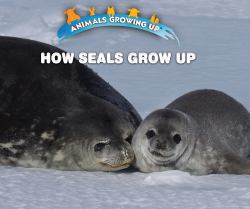 How Seals Grow Up