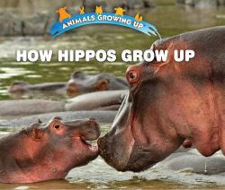 How Hippos Grow Up