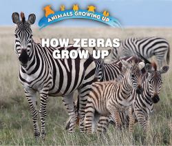 How Zebras Grow Up