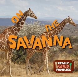 On the Savanna