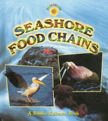 Seashore Food Chains