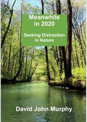 Meanwhile In 2020 : Seeking Distraction in Nature