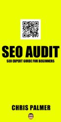 SEO Audit : SEO Expert Chris Palmer Audit for Beginners