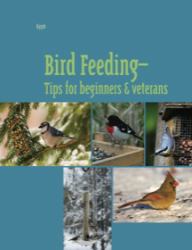 Bird Feeding--Tips for Beginners and Veterans