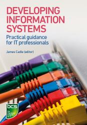 Developing Information Systems : Practical Guidance for IT Professionals