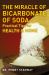 The Miracle of Bicarbonate of Soda : Practical Tips for Health and Home