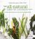 The All-Natural Diabetes Cookbook : The Whole Food Approach to Great Taste and Healthy Eating