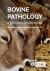 Bovine Pathology : A Text and Color Atlas