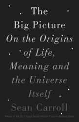 The Big Picture : On the Origins of Life, Meaning, and the Universe Itself