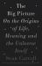 The Big Picture : On the Origins of Life, Meaning, and the Universe Itself