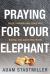 Praying for Your Elephant : Boldly Approaching Jesus with Radical and Audacious Prayer