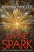 The Divine Spark : Psychedelics, Consciousness and the Birth of Civilization