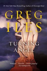 Turning Angel : A Novel