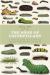 The Book of Caterpillars : A Life-Size Guide to Six Hundred Species from Around the World