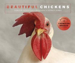 Beautiful Chickens : Portraits of Champion Breeds