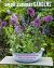 Small Summer Gardens : 35 Bright and Beautiful Gardening Projects to Bring Color and Scent to Your Garden