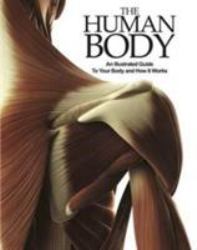 The Human Body : An Illustrated Guide to Your Body and How It Works