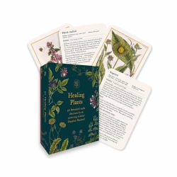 Healing Plants : 50 Botanical Cards Illustrated by the Pioneering Herbalist Elizabeth Blackwell