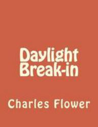 Daylight Break-In : Murphy's Law