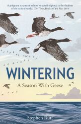 Wintering : A Season with Geese