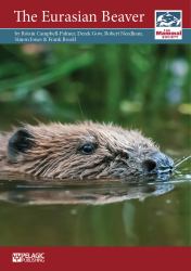 Eurasian Beaver