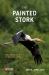 The Painted Stork : Exploring Ecology and Conservation in India