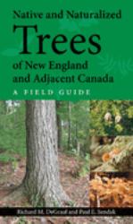 Native and Naturalized Trees of New England and Adjacent Canada : A Field Guide