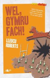 Wel Gymru Fach