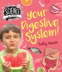 Your Digestive System