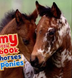 Horses and Ponies