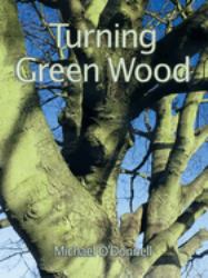 Turning Green Wood : An Inspiring Introduction to the Art of Turning Bowls from Freshly Felled, Unseasoned Wood