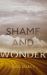 Shame and Wonder : Essays