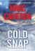 Cold Snap : An Action Packed Novel of Suspense