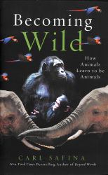 Becoming Wild : How Animals Learn to Be Animals