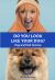 Do You Look Like Your Dog? the Book : Dogs and Their Humans