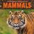 Mammals