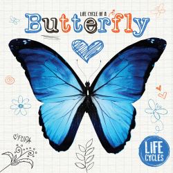 Life Cycle of a Butterfly