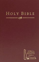 Holman Christian Standard Bible Drill Bible