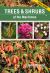 Trees and Shrubs of the Maritimes : Field Guide