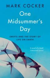 One Midsummer's Day : Science and the Imagination