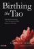 Birthing the Tao : Supporting the Incarnating Soul's Development Through Pregnancy or Rebirthing