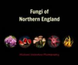 Fungi of Northern England