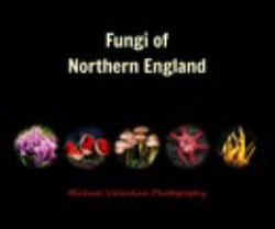 Fungi of Northern England