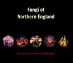 Fungi of Northern England