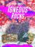 Igneous Rocks