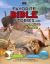 American Bible Society Favorite Bible Stories and Amazing Facts