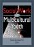 Social Work with Multicultural Youth